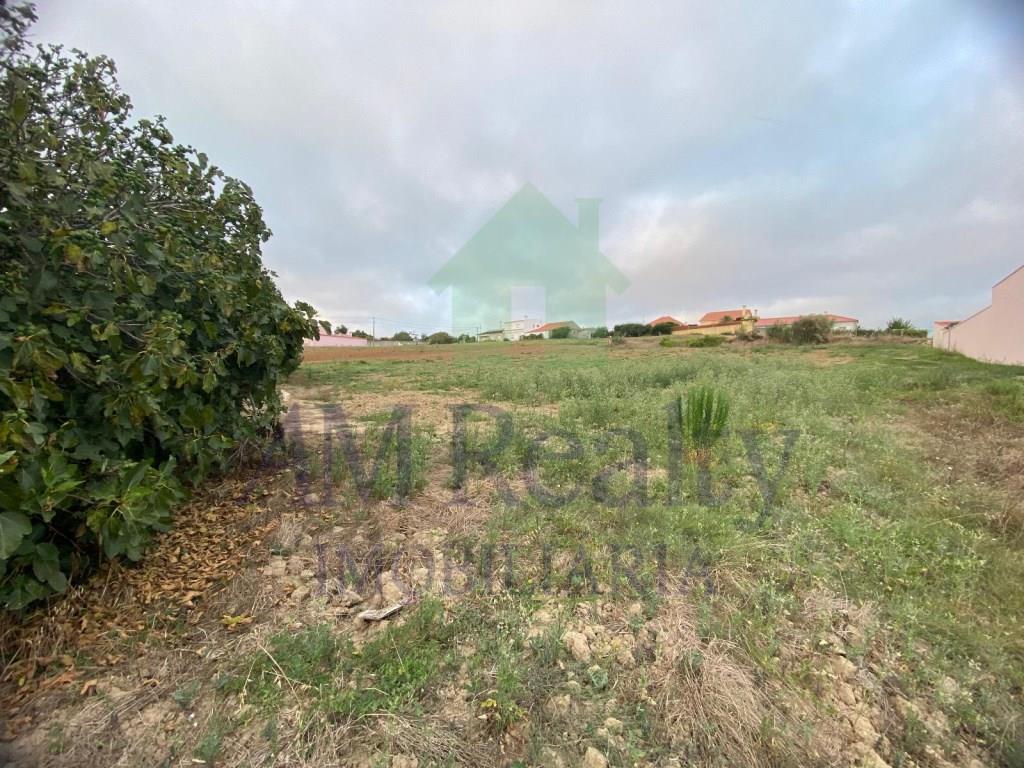 Rural Land Sale Lourinhã