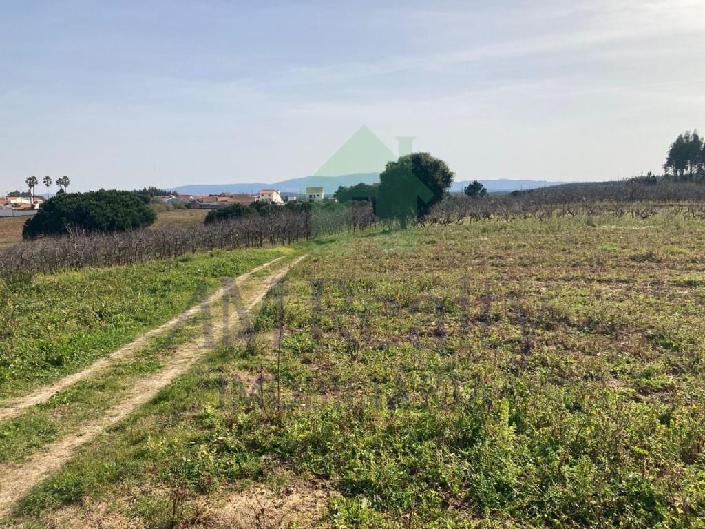Purchase: Land (2530)