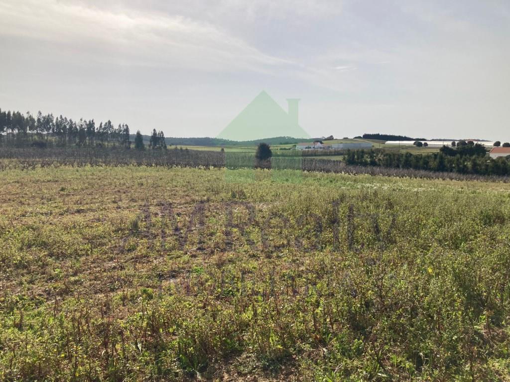 Purchase: Land (2530)