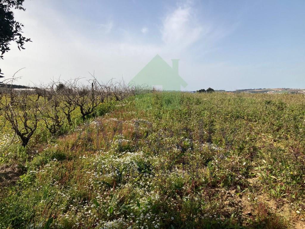 Purchase: Land (2530)