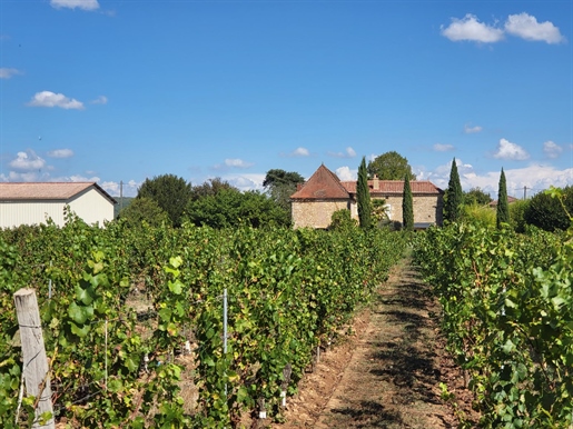 Property In Cahors Aoc Certified Organic With Main House, 2 Cellars, Maison D? Friends And Agric She