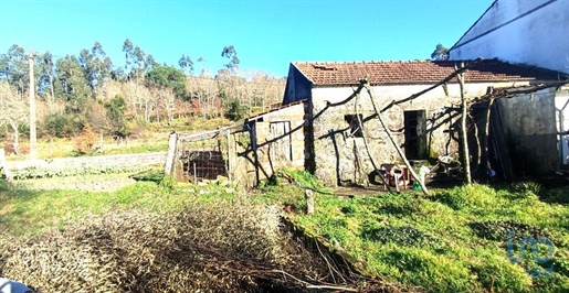 Fünfte in Paredes de Coura, Viana do Castelo