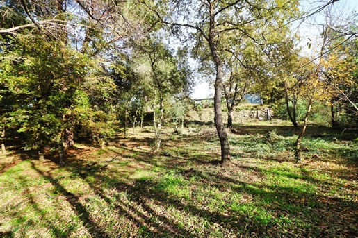 Divisible building land 1718 m²