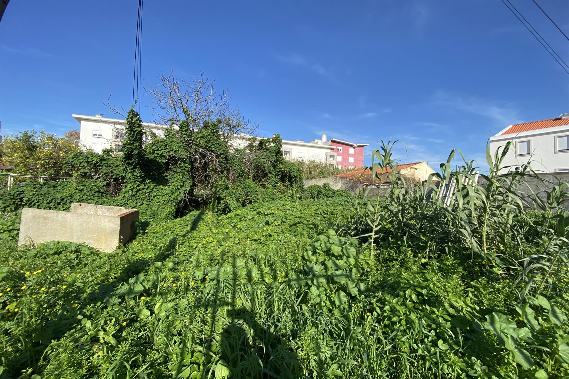 Land in Casalinho de Ajuda next to the Ajuda University Campus