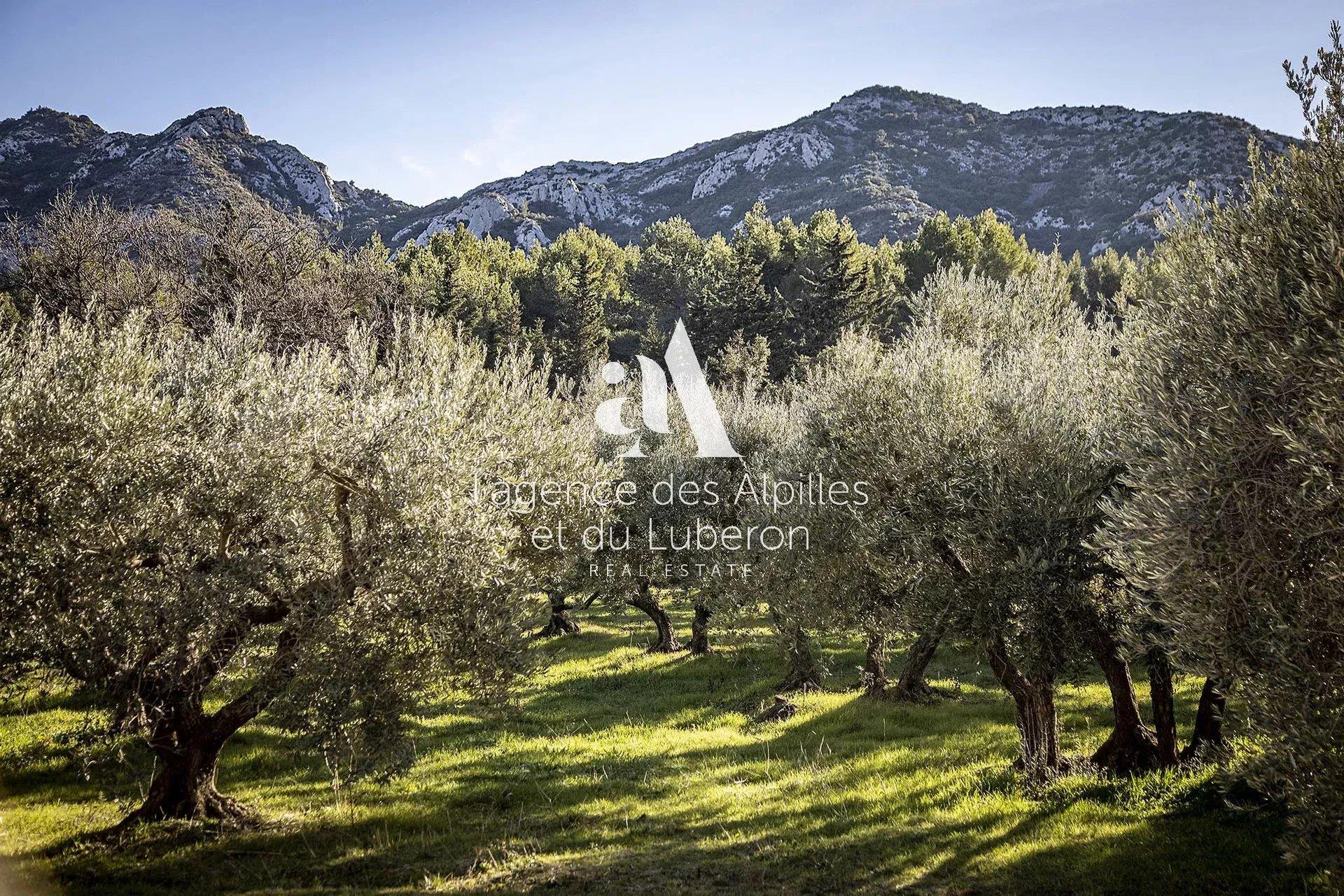 Eygalieres - Contemporary Mas