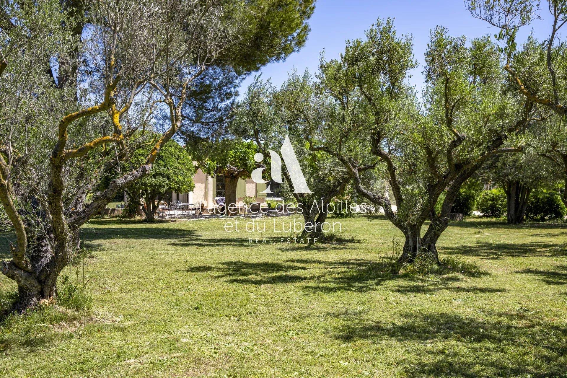 Fontvieille - Maison En Campagne