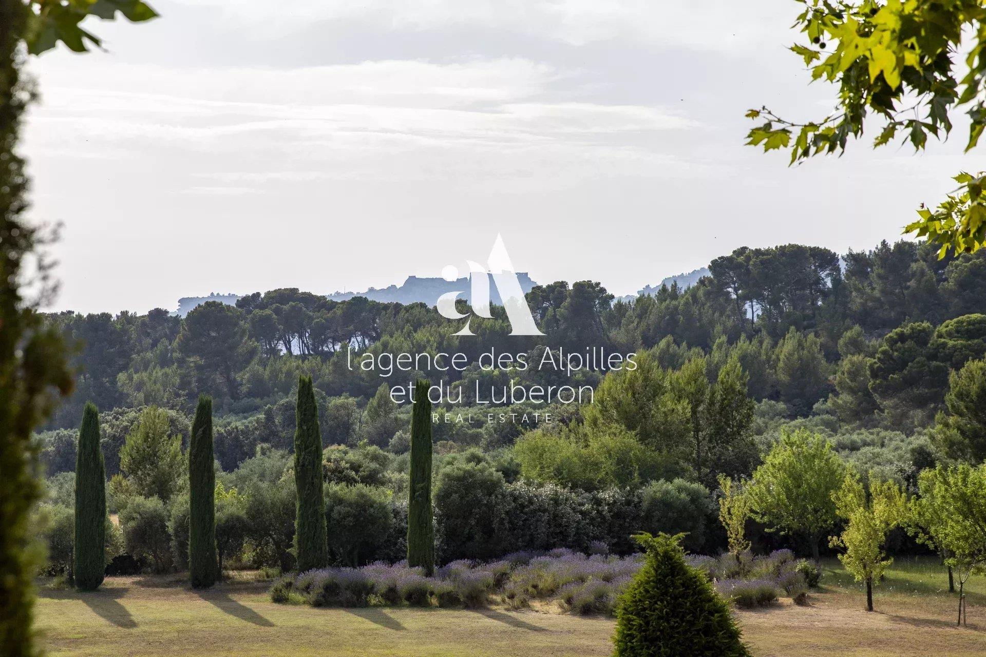 Les Baux De Provence - Property With A View In A Quiet Area
