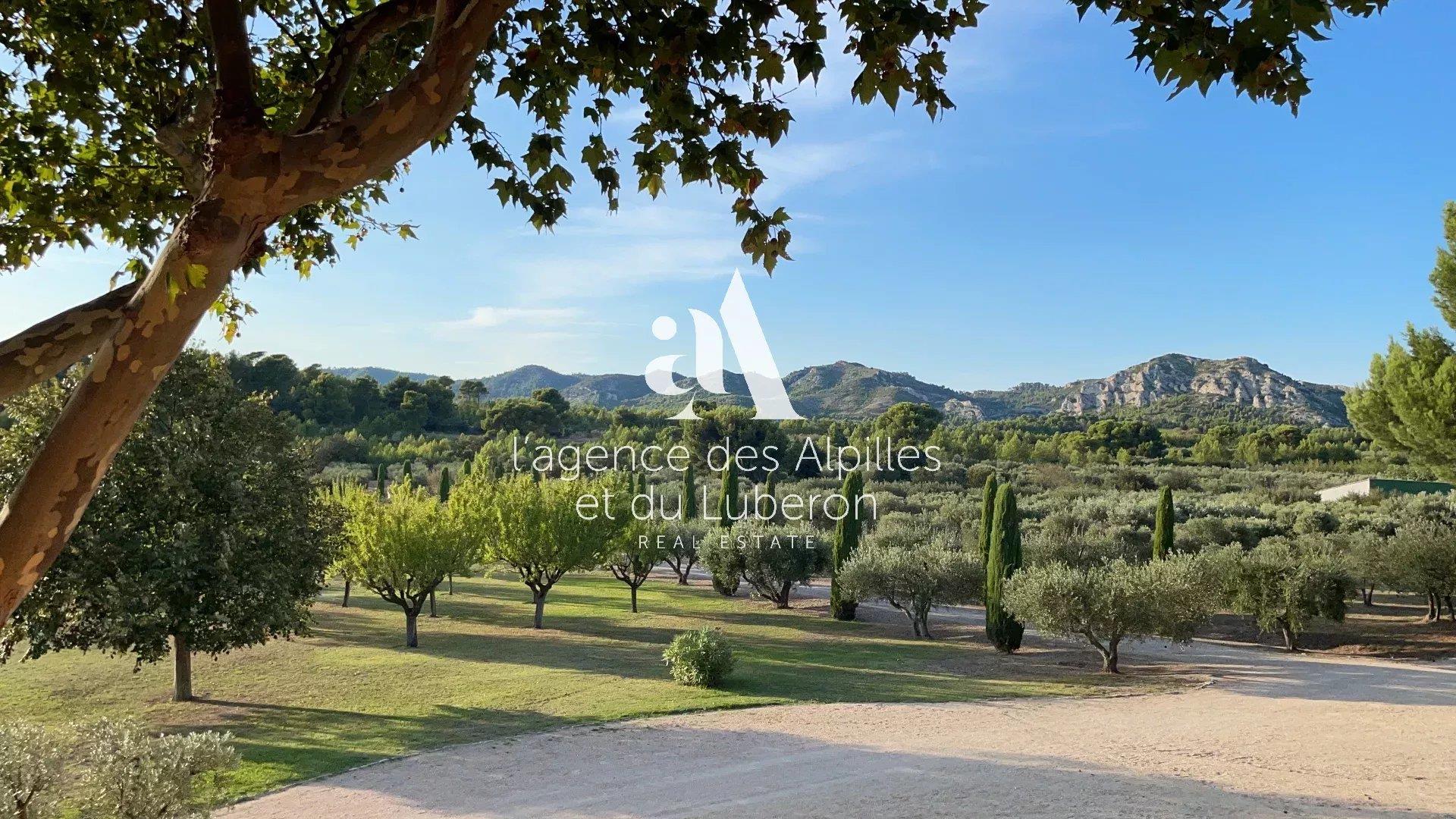 Les Baux De Provence - Property With A View In A Quiet Area