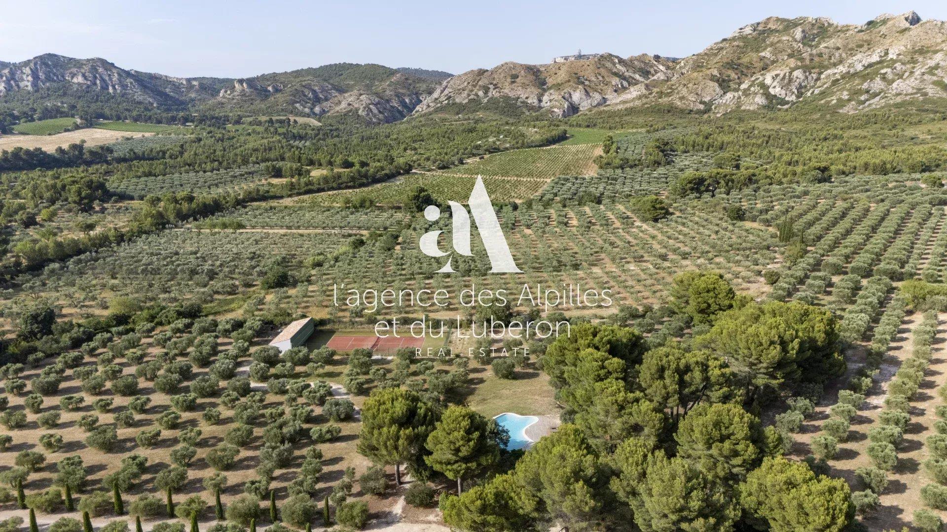 Les Baux De Provence - Property With A View In A Quiet Area