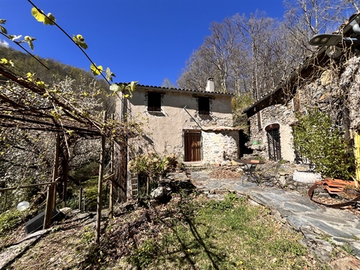 Upper Vallespir area - Near Spain - Farmhouse with barn partly converted on 27,000 m2 of forest