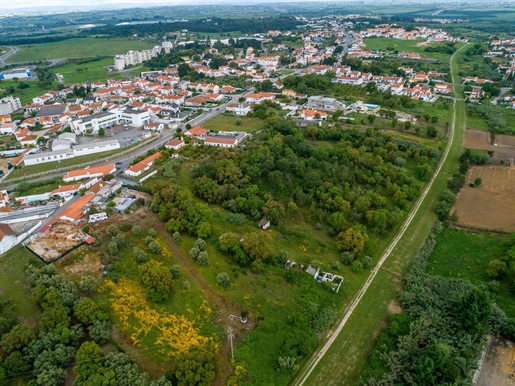 Land in Santarém with 15,135 m2 with feasibility of constricting~