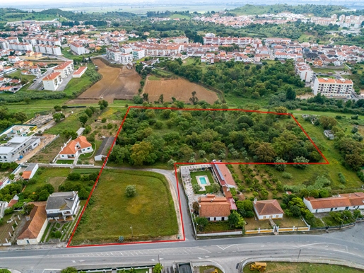 Land in Santarém with 15,135 m2 with feasibility of constricting~