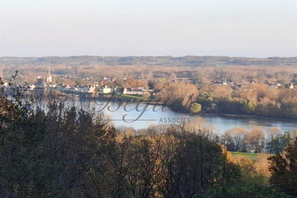 Langeais - Maison 350 m² - 7 chambres - piscine - Parc 6 ha - Vu