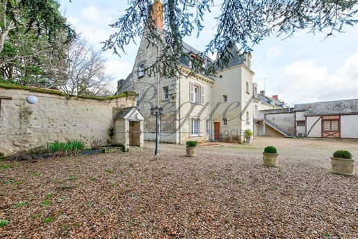 Indre et Loire - Beaumont En Veron 37420 - Manor house 555 m² - Park