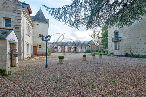 Indre et Loire - Beaumont En Veron 37420 - Manor house 555 m² - Park