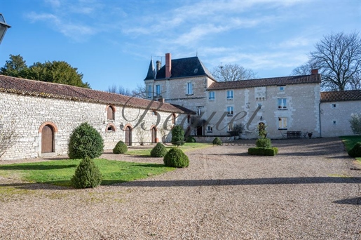 Richelieu 37120 Indre-et-Loire manor house and cottage 530m² 10 bedrooms on 4,