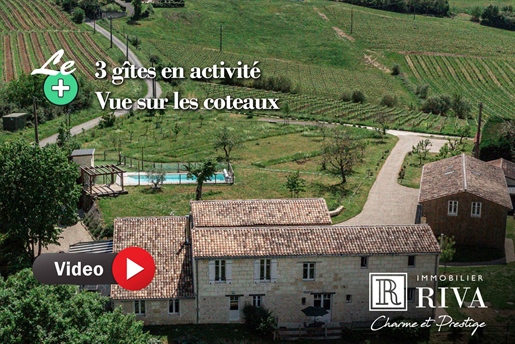 Stone Property - 3 Gites In Activity - Beautiful Environment