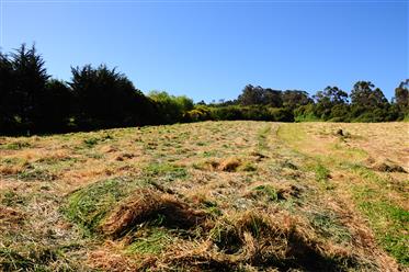 Land for sale Colares Sintra