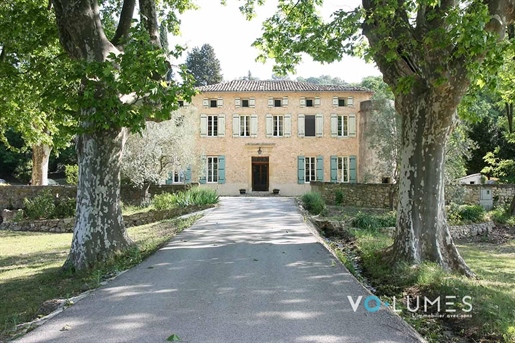 Castle XIXth surrounded by 16 hectares of land and vineyards
