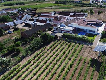 Magnifique ferme T4 avec production de vin, à seulement 50 km de Lisbonne!