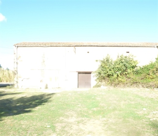 Wine property of 42 ha with shed in Villemoustaussou 11