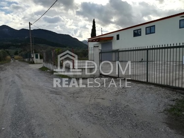 Industrial Site, 600 sq, for sale