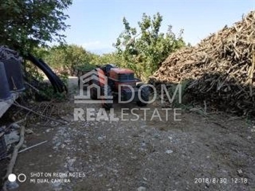 Agricultural, 172000 sq, for sale