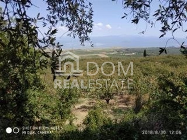 Agricultural, 172000 sq, for sale