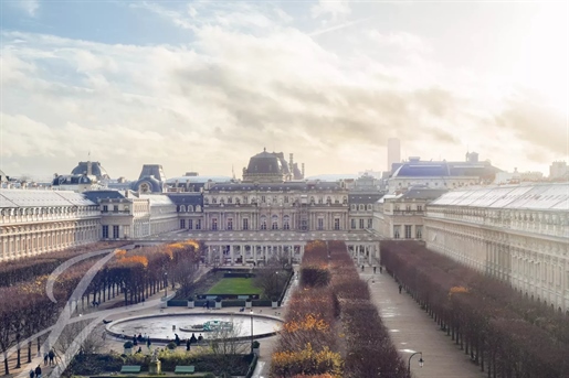 Unique sur les jardins du Palais Royal