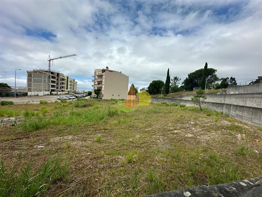 Plot of land in an urbanised allotment