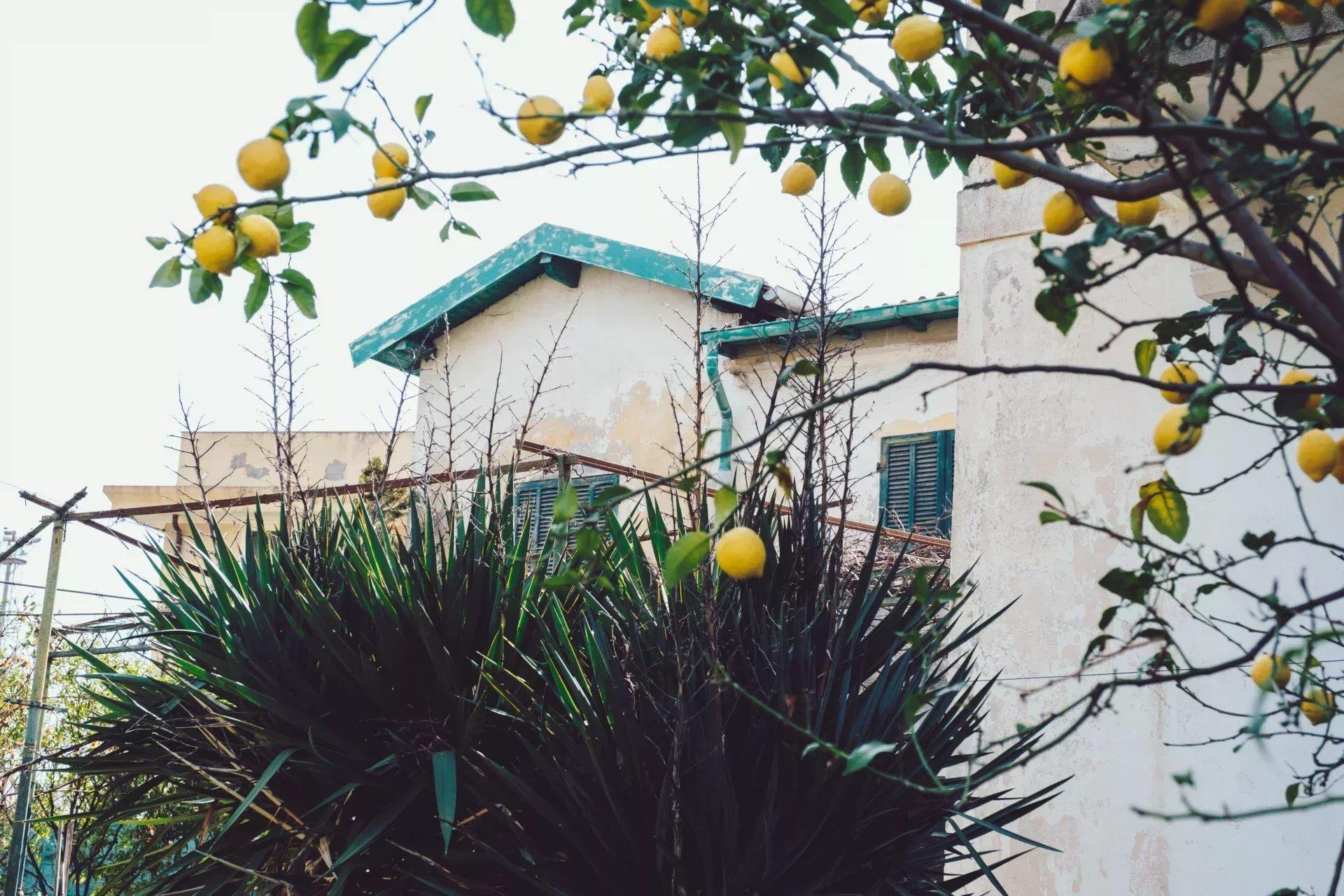 Ventimiglia Oasi Nervia: Two House, 8 room(s) 200 m2, flat garden,