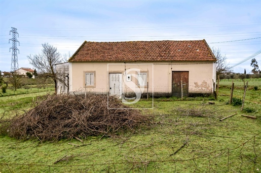 House to Restore 4 Bedrooms in Tomar