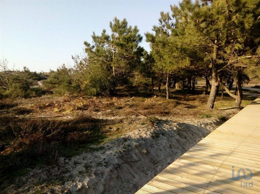 Tierras agrícolas en el Braga, Esposende