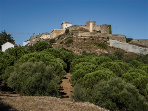 Land of 5 ha with 2 houses next to the Castle of Palmela