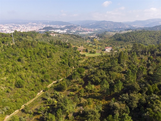 54.000 sqm land in Coimbra for development: eco-resort, sustainable tourism or residential - Private