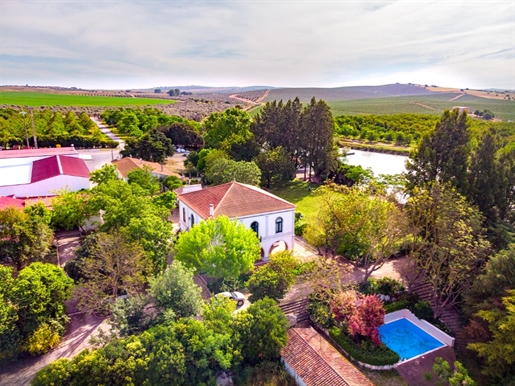 Farm with historical roots in the heart of Alentejo