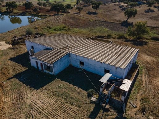 Pozemok na predaj v São Cristóvão, Montemor-O-Novo