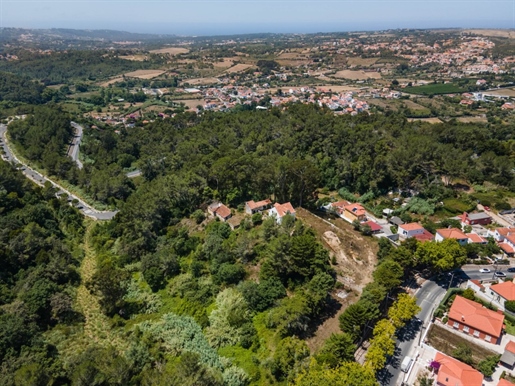 Farm in the Center of Sintra, for sale
