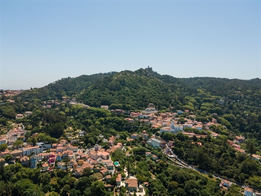 Farm in the Center of Sintra, for sale