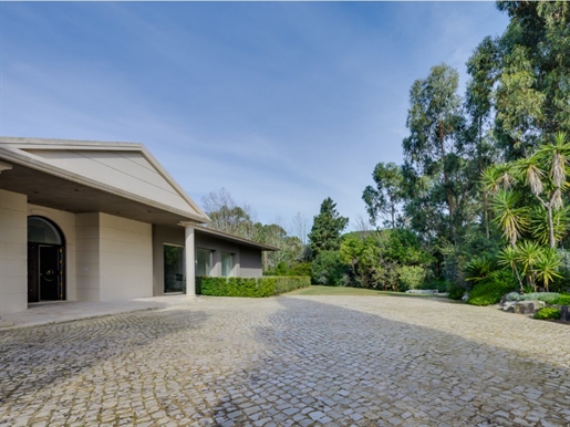 Magnificent brand new villa in Quinta Patino - plot of 4600m2