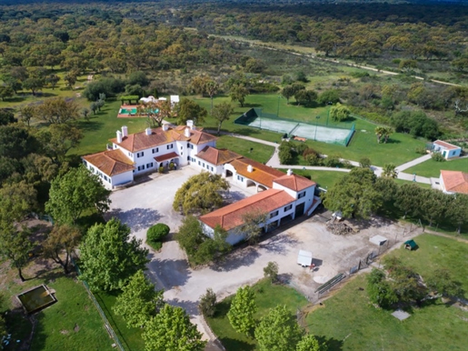 Unique Country Estate of 32 hectares - St. Estevão - Portugal