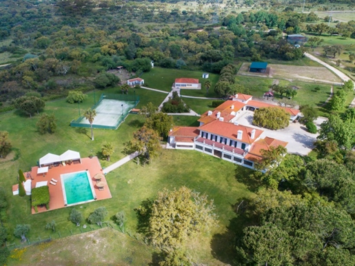 Unique Country Estate of 32 hectares - St. Estevão - Portugal
