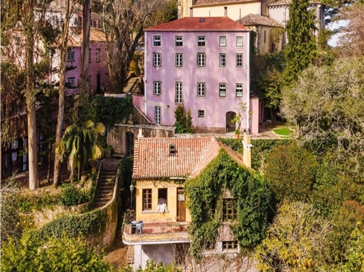 Fantastische Quinta mit Geschichte zum Verkauf in Sintra.