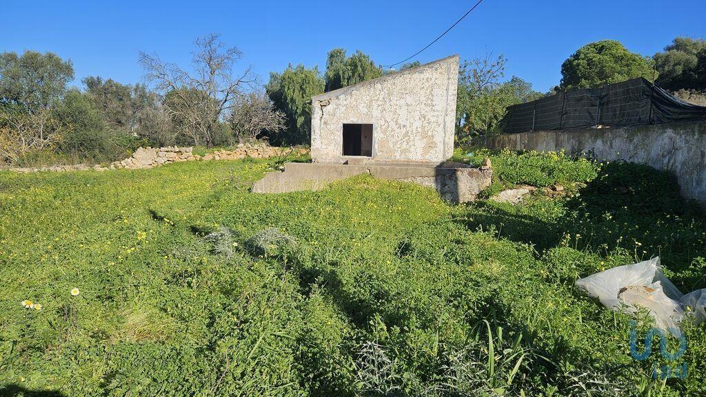 Terreno em Almancil de 3825,00 m²