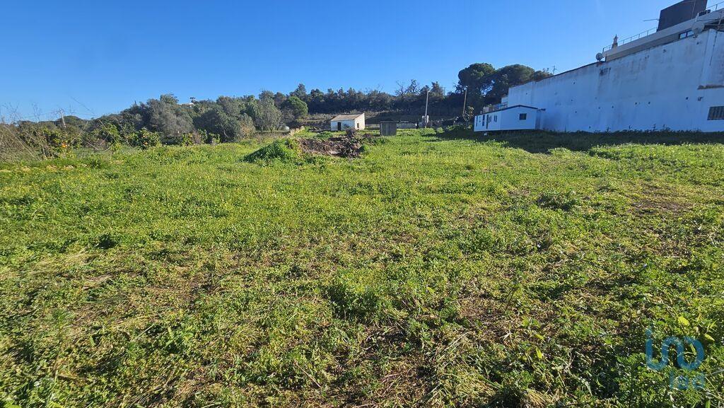 Terreno em Almancil de 3825,00 m²