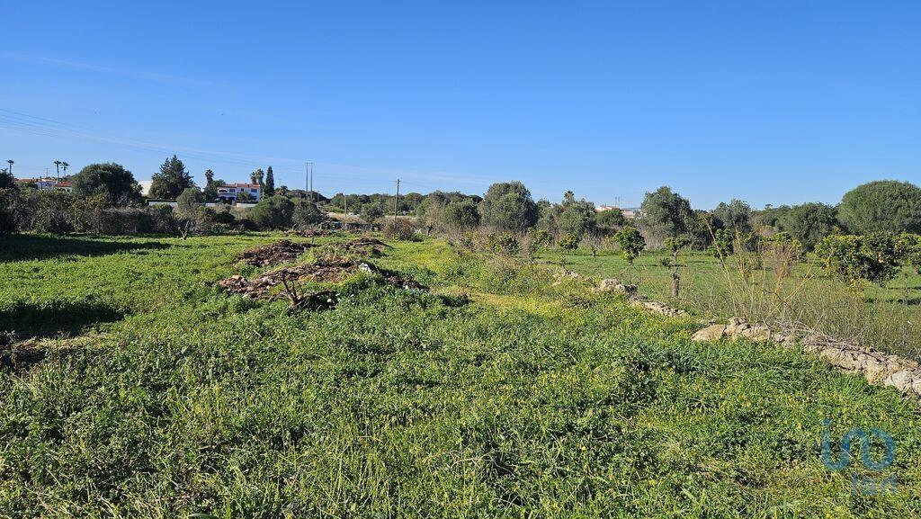 Terreno em Almancil de 3825,00 m²
