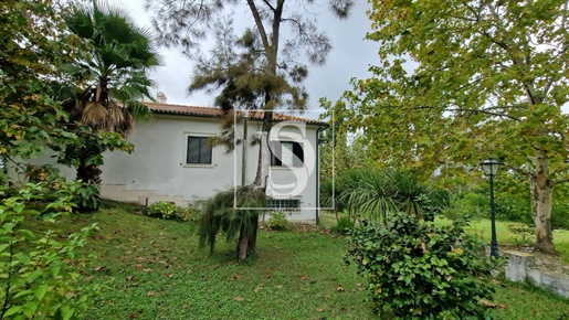 3 bedroom farm in São Silvestre (Coimbra)