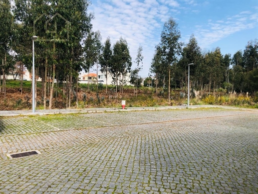 Comprar 5 Parcelas de Terreno con proyecto aprobado para vivienda, Anta- Espinho Portugal.