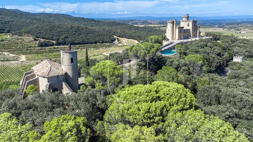 Exceptional castle with panoramic views and pool for sale in Pro