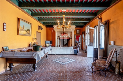 Exceptional castle with panoramic views and pool for sale in Pro